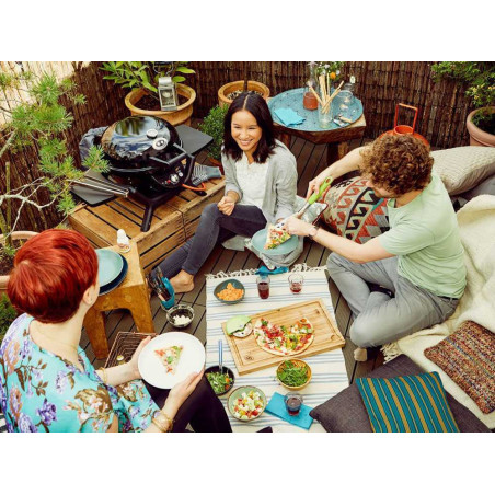 Barbecue à gaz Outdoorchef MiniChef 420 G